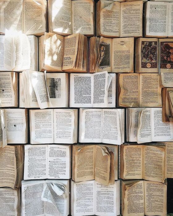 Читать книги на PochitayKnigi.com