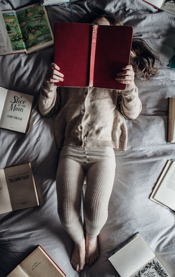 Читать онлайн книги на PochitayKnigi.com